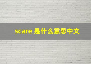 scare 是什么意思中文